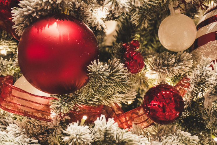 How Christmas Trees Can Be a Catalyst for a Healthier and Happier Lifestyle