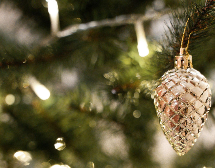 Independence and Christmas in July 2024 with Sparkling Trees